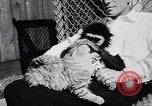 Image of Ludwig family California United States USA, 1951, second 33 stock footage video 65675040119