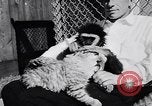Image of Ludwig family California United States USA, 1951, second 34 stock footage video 65675040119