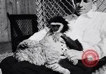 Image of Ludwig family California United States USA, 1951, second 35 stock footage video 65675040119