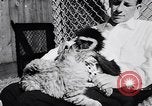 Image of Ludwig family California United States USA, 1951, second 36 stock footage video 65675040119
