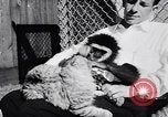 Image of Ludwig family California United States USA, 1951, second 37 stock footage video 65675040119