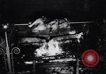 Image of housewife Darien United States USA, 1951, second 35 stock footage video 65675040120