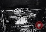 Image of housewife Darien United States USA, 1951, second 37 stock footage video 65675040120