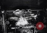 Image of housewife Darien United States USA, 1951, second 38 stock footage video 65675040120