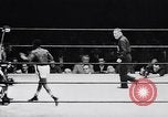 Image la boxe amateur Chicago Illinois USA, 1951, de la seconde 6 séquences d'archives historiques vidéo 65675040121