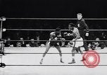 Image la boxe amateur Chicago Illinois USA, 1951, de la seconde 16 séquences d'archives historiques vidéo 65675040121