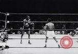 Image la boxe amateur Chicago Illinois USA, 1951, de la seconde 21 séquences d'archives historiques vidéo 65675040121