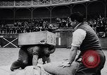 Image Pays Basque la concurrence Lever de pierre Espagne, 1957, de la seconde 10 séquences d'archives historiques vidéo 65675040128