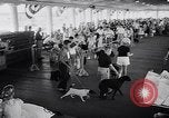 Immagine di Dog show Asbury Park New Jersey USA, 1957, secondo 7 filmato di repertorio 65675040132