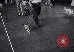 Immagine di Dog show Asbury Park New Jersey USA, 1957, secondo 14 filmato di repertorio 65675040132
