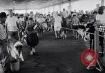 Immagine di Dog show Asbury Park New Jersey USA, 1957, secondo 20 filmato di repertorio 65675040132