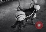 Immagine di Dog show Asbury Park New Jersey USA, 1957, secondo 30 filmato di repertorio 65675040132