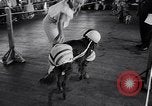 Immagine di Dog show Asbury Park New Jersey USA, 1957, secondo 31 filmato di repertorio 65675040132