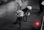 Immagine di Dog show Asbury Park New Jersey USA, 1957, secondo 33 filmato di repertorio 65675040132