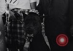 Immagine di Dog show Asbury Park New Jersey USA, 1957, secondo 43 filmato di repertorio 65675040132