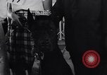 Immagine di Dog show Asbury Park New Jersey USA, 1957, secondo 45 filmato di repertorio 65675040132