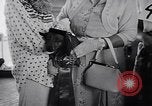 Immagine di Dog show Asbury Park New Jersey USA, 1957, secondo 47 filmato di repertorio 65675040132