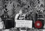 Standbild Truman vor Reserve Officers Association Philadelphia Pennsylvania USA, 1953, aus Sekunde 55 historischem Filmmaterial Videoclip 65675040144