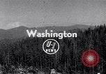 Image of wreckage of chartered airliner Washington State United States USA, 1953, second 1 stock footage video 65675040154