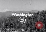 Image of wreckage of chartered airliner Washington State United States USA, 1953, second 3 stock footage video 65675040154