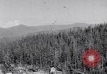 Image of wreckage of chartered airliner Washington State United States USA, 1953, second 4 stock footage video 65675040154