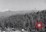 Image of wreckage of chartered airliner Washington State United States USA, 1953, second 5 stock footage video 65675040154