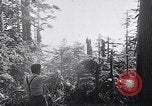 Image of wreckage of chartered airliner Washington State United States USA, 1953, second 6 stock footage video 65675040154