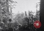 Image of wreckage of chartered airliner Washington State United States USA, 1953, second 7 stock footage video 65675040154