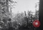 Image of wreckage of chartered airliner Washington State United States USA, 1953, second 8 stock footage video 65675040154