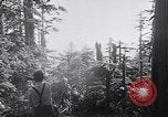 Image of wreckage of chartered airliner Washington State United States USA, 1953, second 9 stock footage video 65675040154