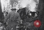Image of wreckage of chartered airliner Washington State United States USA, 1953, second 10 stock footage video 65675040154