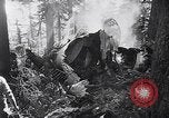 Image of wreckage of chartered airliner Washington State United States USA, 1953, second 12 stock footage video 65675040154