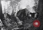 Image of wreckage of chartered airliner Washington State United States USA, 1953, second 13 stock footage video 65675040154