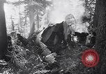 Image of wreckage of chartered airliner Washington State United States USA, 1953, second 14 stock footage video 65675040154