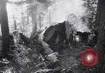 Image of wreckage of chartered airliner Washington State United States USA, 1953, second 15 stock footage video 65675040154
