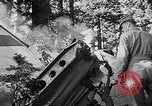Image of wreckage of chartered airliner Washington State United States USA, 1953, second 23 stock footage video 65675040154