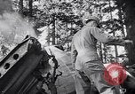 Image of wreckage of chartered airliner Washington State United States USA, 1953, second 25 stock footage video 65675040154