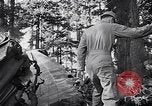 Image of wreckage of chartered airliner Washington State United States USA, 1953, second 26 stock footage video 65675040154