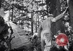 Image of wreckage of chartered airliner Washington State United States USA, 1953, second 27 stock footage video 65675040154