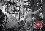 Image of wreckage of chartered airliner Washington State United States USA, 1953, second 28 stock footage video 65675040154