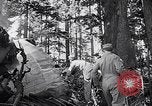 Image of wreckage of chartered airliner Washington State United States USA, 1953, second 29 stock footage video 65675040154