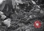 Image of wreckage of chartered airliner Washington State United States USA, 1953, second 36 stock footage video 65675040154