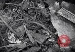 Image of wreckage of chartered airliner Washington State United States USA, 1953, second 38 stock footage video 65675040154