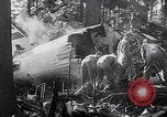 Image of wreckage of chartered airliner Washington State United States USA, 1953, second 42 stock footage video 65675040154