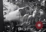 Image of wreckage of chartered airliner Washington State United States USA, 1953, second 43 stock footage video 65675040154