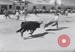 Image of bull fighting Alcochete Portugal, 1953, second 8 stock footage video 65675040157