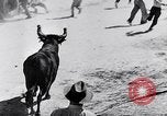 Image of bull fighting Alcochete Portugal, 1953, second 13 stock footage video 65675040157