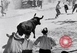 Image of bull fighting Alcochete Portugal, 1953, second 14 stock footage video 65675040157