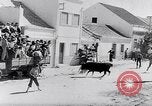 Image of bull fighting Alcochete Portugal, 1953, second 15 stock footage video 65675040157