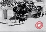 Image of bull fighting Alcochete Portugal, 1953, second 18 stock footage video 65675040157